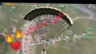 ياربيي تيم الخطر    دندنها