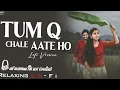 Tum Kyu Chale Ate Ho || Relaxing Lo- FI Version || तुम क्यू चले आते हो | 90s Hindi Old Lo-Fi Song