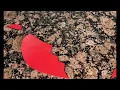 The Lock On My Heart- Courtney alysse | STOP MOTION MUSIC VIDEO