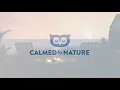 Campfire by the Sea Ambience | Crackling Fire, Ocean Waves, & Crickets Sounds