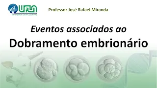 Eventos associados ao dobramento embrionário