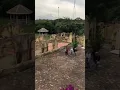 Munafik 2 siapa dah tengok like