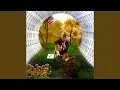 Download Lagu Peter's POV