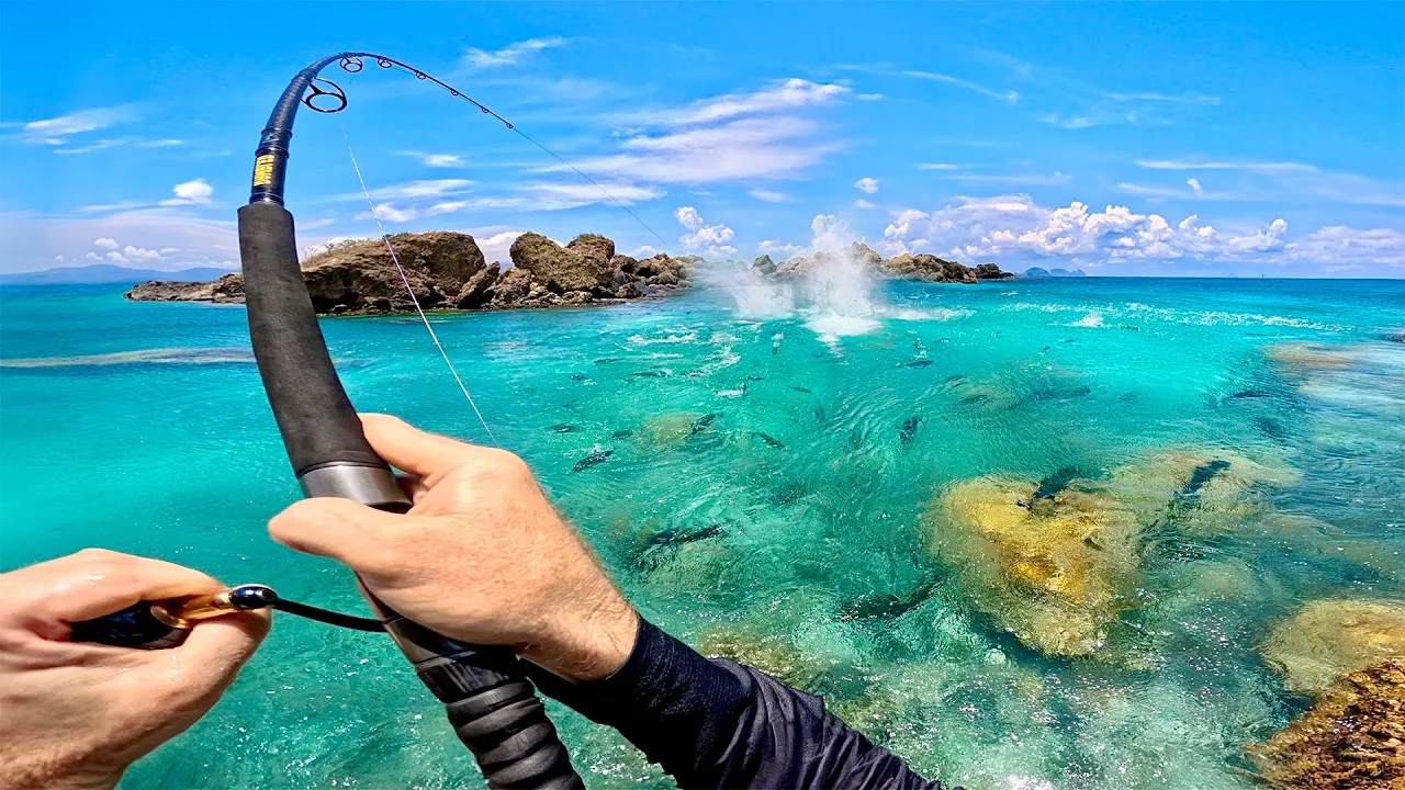 Outline Video I’ve never seen so many fish!