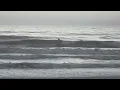 North Florida Surf and Beach Update 6 45 am 3 5 26