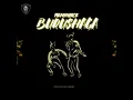 Download Lagu Reminisce - Burushaga Official Audio