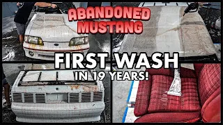Abandoned BARN FIND Ford Mustang | First Wash In 19 Years | Car Detailing Restoration How To!