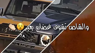 محمد البصيلي   فالصحره نروح نعمل غاره   ملوك الطاره   جديد                                 دندنها
