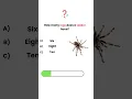 How Many Legs Does a Spider Have General Knowledge Trivia
