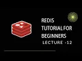 Redis Tutorial for Beginners - 12 Redis Sets sadd smembers sismembers scard spop sunionstore
