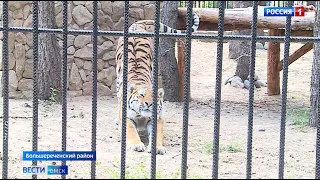 К осени Большереченский зоопарк ждёт большое обновление