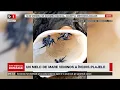 Download Lagu ALERTĂ ÎN SPANIA. DRAGONI ALBAȘTRI ÎN APĂ. UN MELC VENINOS A ÎNCHIS PLAJELE Știri B1TV_22 aug. 2025
