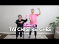 Download Lagu Do Tai Chi to Improve Balance Every Day | Gentle Stretches