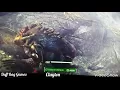 Fallout Angler