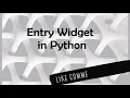 Entry Widget in Python