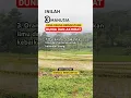 Download Lagu 3 Orang paling beruntung dunia dan akhirat #dakwahislam #ilmubermanfaat #membantusesama