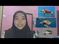 BDY422 PRESENTATION CASE STUDY OF ENDANGERED ANIMAL SEA TURTLES