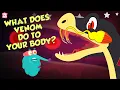 What Does Snake s Venom Do To Your Body Snake Venom Effects Dr Binocs Show Peekaboo Kidz