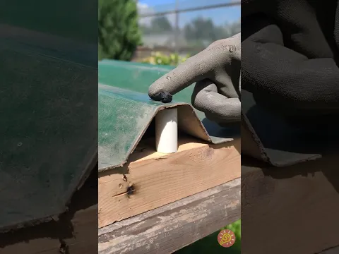 استراتيجيتان فعّالتان لبناء روابط قوية وطويلة الأمد 🛠️💡