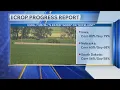 USDA Crop Progress Report 26
