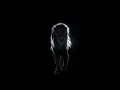 ARTBAT - Afterparty (Official Visualiser)