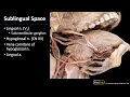 Oral Cavity - Oral Cavity and Sublingual Space