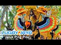 JALUK PING PITU || LUGAY JAYA || @ Cikeruh Karawang