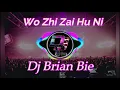 Download Lagu Wo Zhi Zai Hu Ni 我只在乎你 Remix By Dj Brian Bie