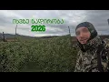 Lagu 2026 წლის პირველი ნადირობა იხვზე🦆🦆🦆