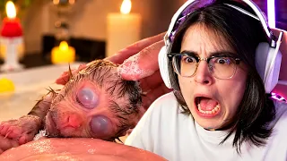 OS VIDEOS DO TIKTOK ESTAO CADA VEZ MAIS ESTRANHOS