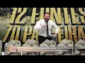 Download Lagu No Cair da Tarde - 10/07/2024