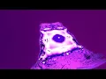 Snarky Puppy - Belmont (Unofficial VR Animation)