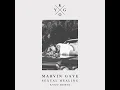 Sexual Healing (Kygo Remix) - Marvin Gaye