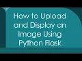 How to Upload and Display an Image Using Python Flask