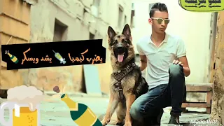 مهرجان عندي كلب يجرى معسكر سعد خربوشه دندنها