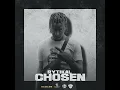 Chosen - Rytikal