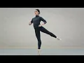 【神回】プロが「夜の踊り子」本気で踊ってみた。(サカナクション)