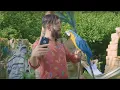 Download Lagu TiiwTiiw feat Cheb Djalil - Frota \u0026 Coco (Clip Officiel)