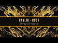 Rewriting Raylib examples to RUST