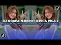 Download Lagu DJ TIMUR KE BARAT SELATAN KE UATARA | DJ NGAPAIN REPOT X PICA PICA 2 SLOW VIRAL TIKTOK TERBARU 2025