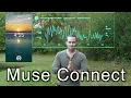 Muse Connect Track Multiple People s Meditation Brainwaves Through This Platform