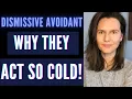 Dismissive Avoidant Breakup Why Dismissive Avoidant Acts So Cold