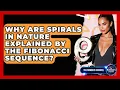 Why Are Spirals In Nature Explained By The Fibonacci Sequence - The Numbers Channel