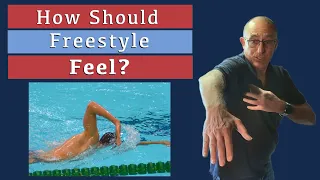 Download How should freestyle feel The muscles used if swimming Front Crawl. MP3