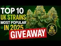 Top 10 Cannabis Strains Taking Over the UK in 2025 free giveaway
