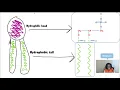 All About Lipids Part 2