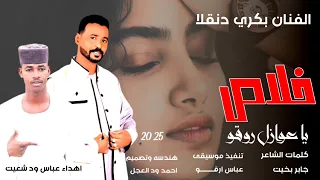 جديد 2025 الفنان بكري دنقلا خلاص يا عوازل روقو 