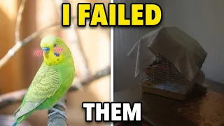 I lost my pet birds...Here’s what it taught me