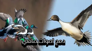 صوت ابو زله بربش مصو صوت دمج 