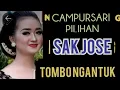 Download Lagu LANGGAM JAWA CAMPURSARI YG SEDANG DI CARI